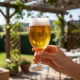 Taça de Vidro Cerveja 330mL Nadir Windsor Taça de Vidro Cerveja 330mL Nadir Windsor