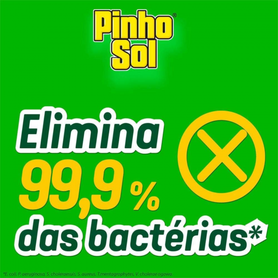 Desinfetante Pinho Sol Original 1L Desinfetante Pinho Sol Original 1L