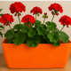 Vaso Jardineira n°31 Okla Oxford Laranja Vaso Jardineira n°31 Okla Oxford Laranja