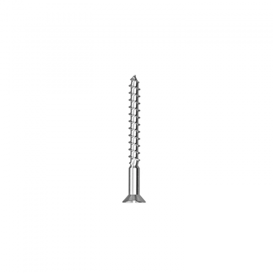 Parafuso para Madeira 4,2x40mm Worker com 10 unid.
