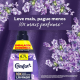 Amaciante Concentrado Comfort 1L Lavanda Amaciante Concentrado Comfort 1L Lavanda