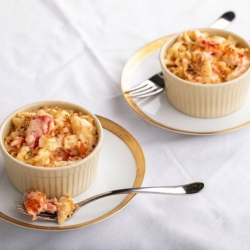 Ramekin de Porcelana Germer 180ml Marfim Ramekin de Porcelana Germer 180ml Marfim