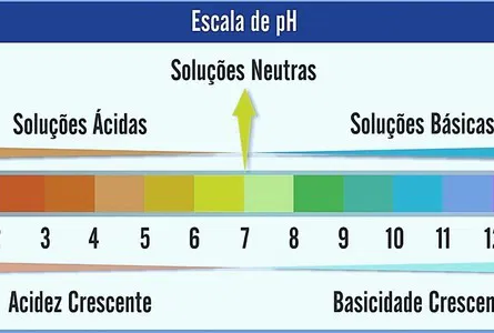 Quais Diferenças entre Produtos de Limpeza Ácidos, Neutros e Alcalinos?