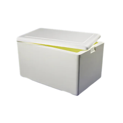 Caixa Térmica de Isopor Kiisotherm 50L Caixa Térmica de Isopor Kiisotherm 50L