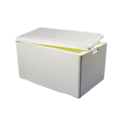 Caixa Térmica de Isopor Kiisotherm 60L Caixa Térmica de Isopor Kiisotherm 60L