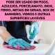 Sabão de Querosene 1L SP Sabão de Querosene 1L SP