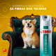 Limpa Tecidos Aerossol Jimo 300mL