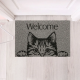 Tapete Capacho Vinil 40x60cm Kapazi Pet- Cat Welcome 