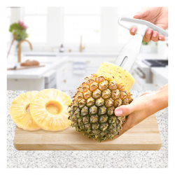Descascador e Fatiador de Abacaxi Cascaxi Keita Descascador e Fatiador de Abacaxi Cascaxi Keita
