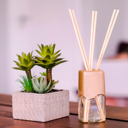 Difusor de Ambientes Coala 100 mL Chá Branco