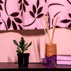 Difusor de Ambientes Coala 100 mL Orquídea Negra