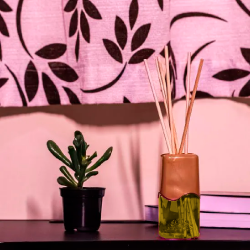 Difusor de Ambientes Coala 100 mL Patchouli com Tangerina