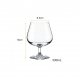 Taça de Vidro Conhaque 330mL Nadir Windson Taça de Vidro Conhaque 330mL Nadir Windson