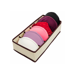 Organizador de Sutiã com 6 Divisórias Ordene 