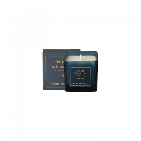 Vela Aromática Frutas Silvestres 100g Paramount Vela Aromática Frutas Silvestres 100g Paramount