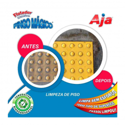 Limpador Flotador Concentrado Pingo Mágico 5L