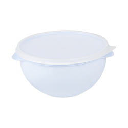 Pote Hermético Redondo 4,75L Plasvale