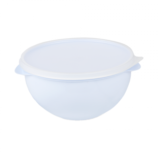 Pote Hermético Redondo 4,75L Plasvale Pote Hermético Redondo 4,75L Plasvale