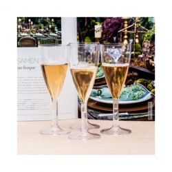 Taça de Acrílico 150mL Prafesta Salut com 6 unid.