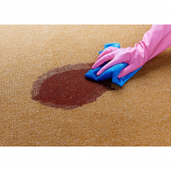 Limpa Carpetes e Tapetes Vanish Karpex 500mL Limpa Carpetes e Tapetes Vanish Karpex 500mL