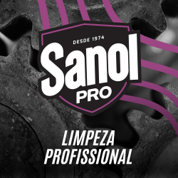 Tira Ferrugem 350mL Sanol Pro