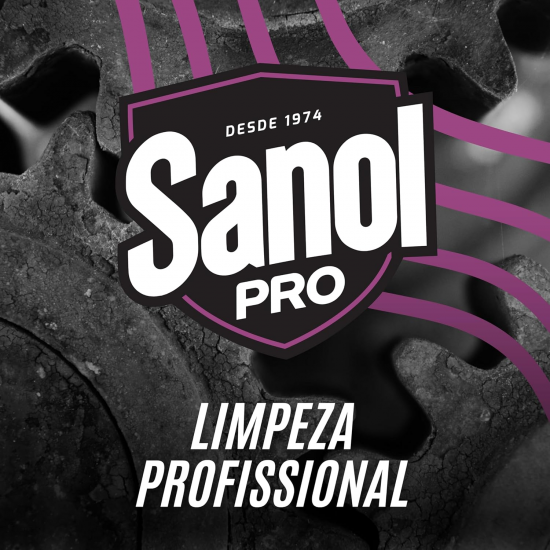 Tira Ferrugem 350mL Sanol Pro Tira Ferrugem 350mL Sanol Pro