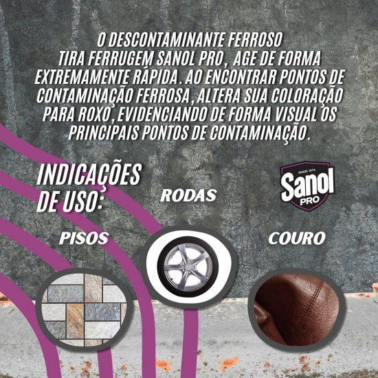 Tira Ferrugem 350mL Sanol Pro Tira Ferrugem 350mL Sanol Pro