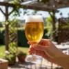 Taça de Vidro Cerveja 330mL Nadir Windsor