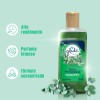 Aromatizante Essência Glade 120mL Eucalipto
