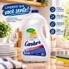 Detergente Líquido Candura Clear 5L