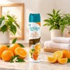 Aromatizador Aerossol Lev&Uze 400mL Citrus