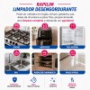 Limpador Desengordurante Spray 500mL Rapilim Tudo Limpinho
