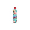 Limpador Multiuso Casa & Limpeza Mistério Jardim 500mL