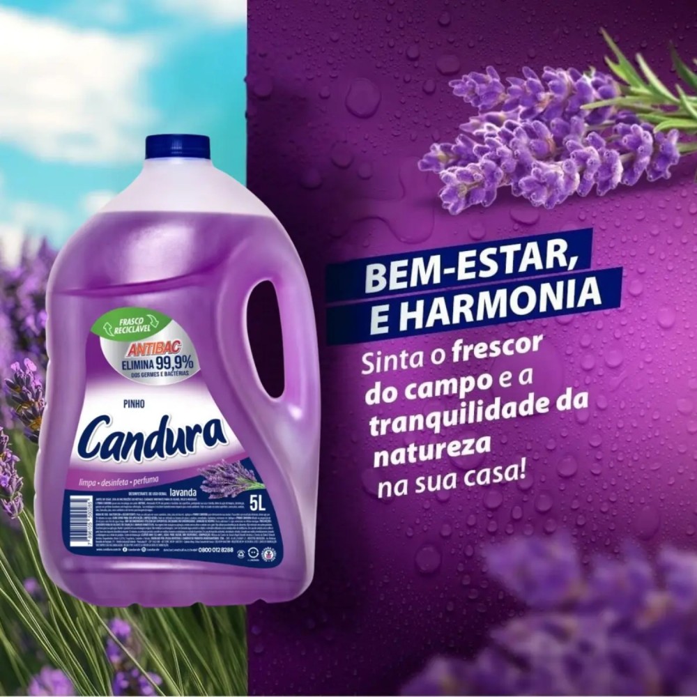 Desinfetante Candura Lavanda 5L