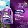 Desinfetante Candura Lavanda 5L
