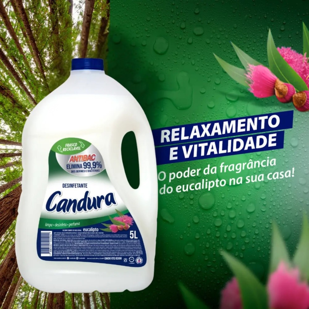 Desinfetante Candura Eucalipto 5L