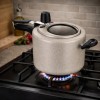 Panela de Pressão Antiaderente 4,5L com Visor MTA Vanilla