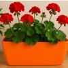 Vaso Jardineira n°31 Okla Oxford Laranja