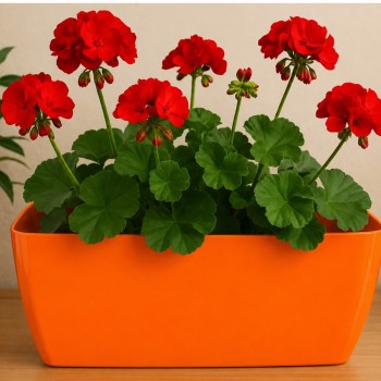 Vaso Jardineira n°31 Okla Oxford Laranja