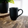 Caneca de Cerâmica Oxford 350mL Flat Preto Onix