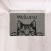 Tapete Capacho Vinil 40x60cm Kapazi Pet- Cat Welcome 