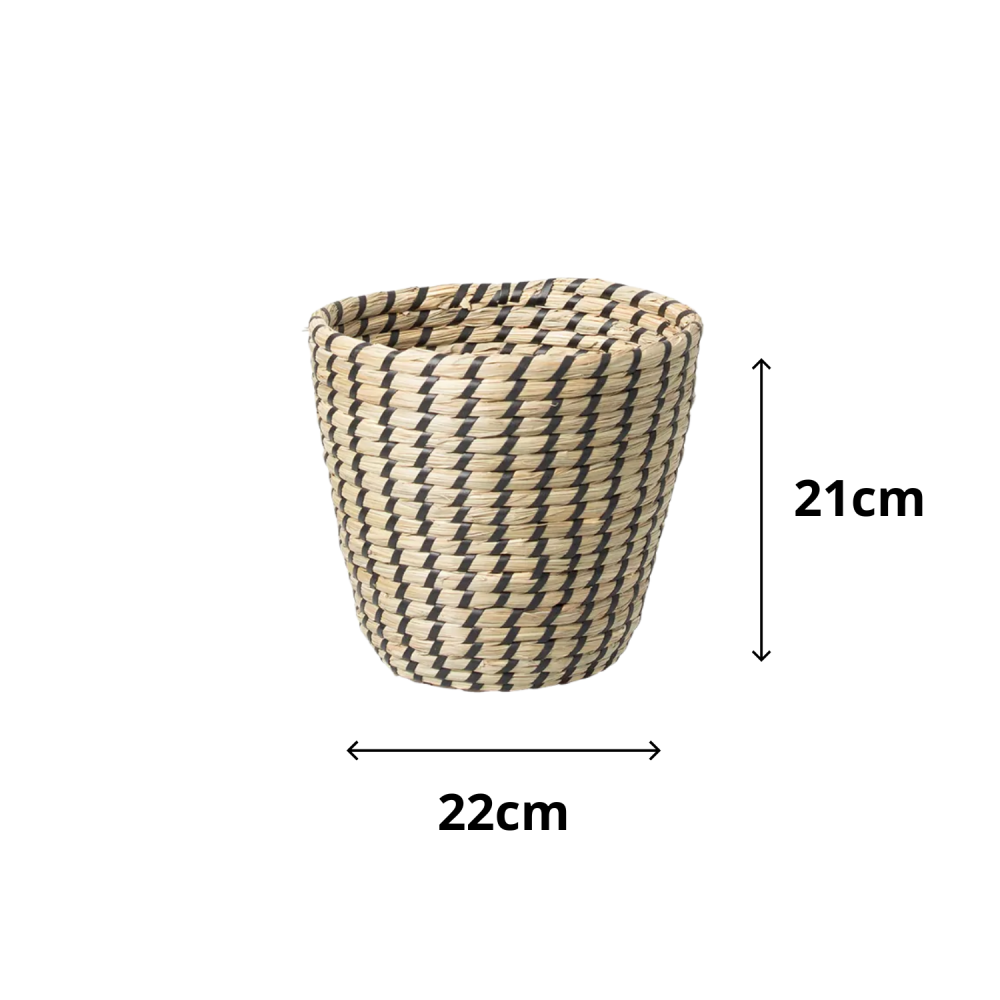Cesto de Fibra Natural Seagrass Paramount 22x21cm