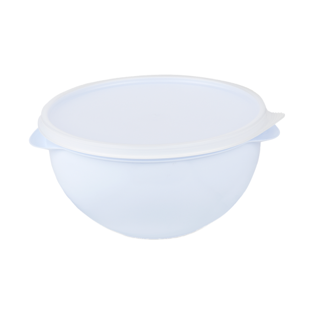 Pote Hermético Redondo 4,75L Plasvale