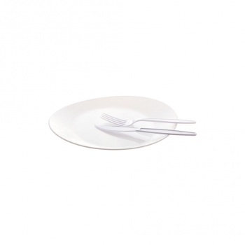 Kit Descartável Churrasco Prafesta com 10 Pratos/10 Garfos/10 Facas Branco