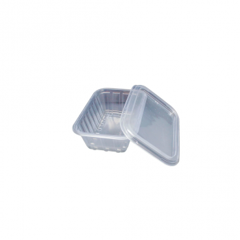 Pote Plástico Descartável Retangular com Tampa 250mL Prafesta com 24 unid.