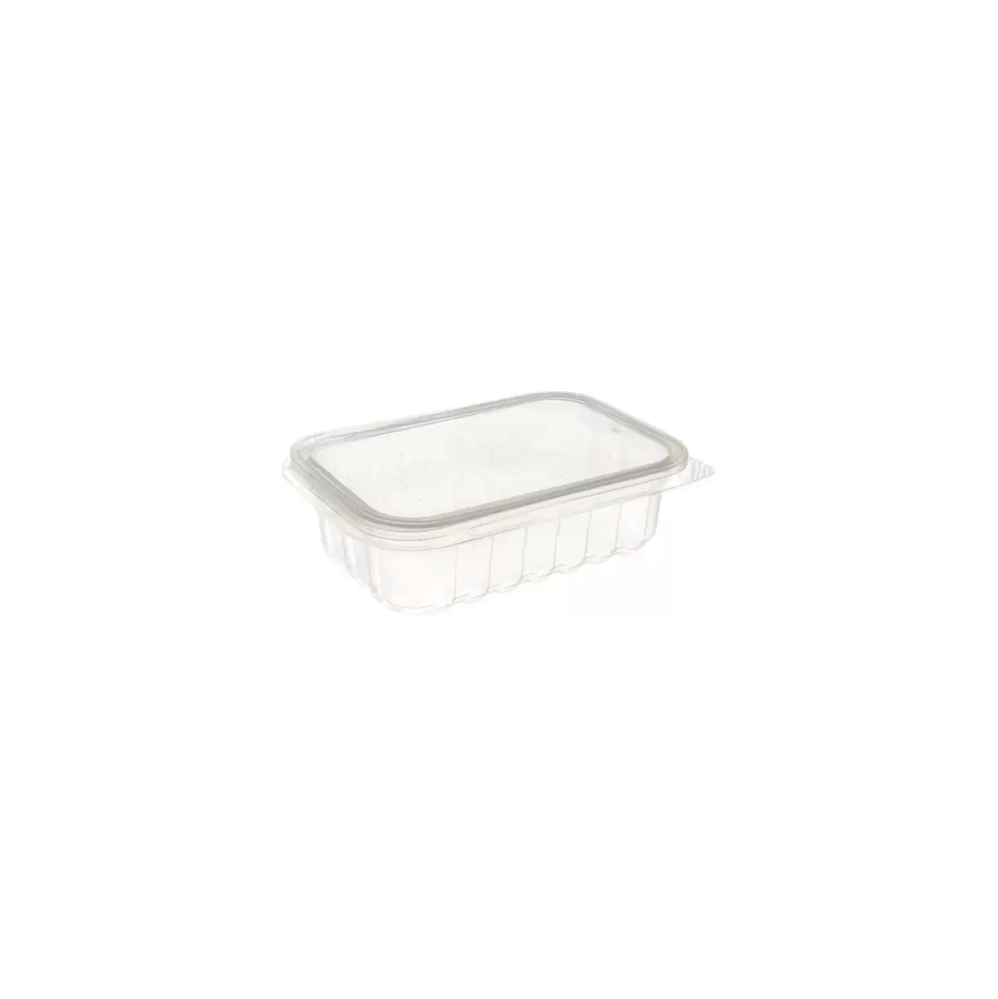 Pote Plástico Descartável Retangular com Tampa 250mL Prafesta com 24 unid.