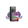 Aromatizador Spray Automático Bom Ar Freshmatic Lavanda Aparelho + 1 Refil 250mL