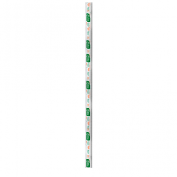 Canudo Biodegradável Comum Strawplast 5mm com 100 unid.