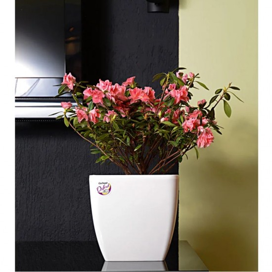 Vaso Quadrado Cachepô n°16 Okla Oxford - Branco Vaso Quadrado Cachepô n°16 Okla Oxford - Branco