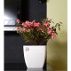 Vaso Quadrado Cachepô n°16 Okla Oxford - Branco Vaso Quadrado Cachepô n°16 Okla Oxford - Branco